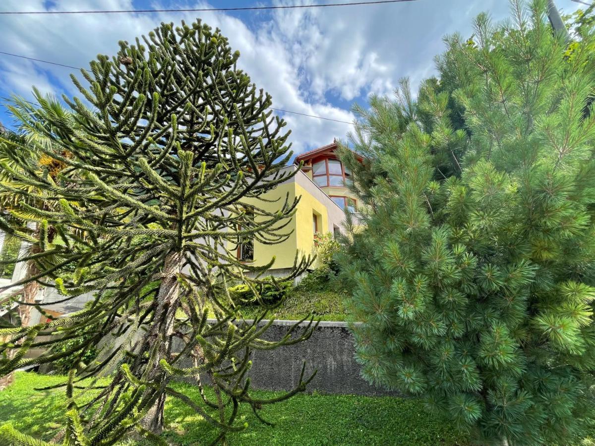 Apartma 7 - In The Heart Of Soca Valley Tolmin Exteriör bild